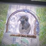 Lori Nutter - @lorinutterbutter - Instagram