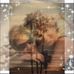 Lori Oberg - Facebook
