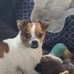 Laurie Ochsner - Facebook