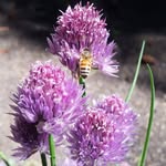 Lori Ochsner - @lori.ochsner - Instagram