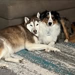 Lori Oldaker - @oldakerlori - Instagram