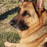 Lori Olson - @stryker.1026 - Instagram