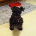 Laurie Olszewski - Facebook