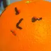 lorie the orange 🍊🍊🍊 - @lorietheorange - TikTok