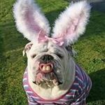 Lori Ann Overley - @lorioverley - Instagram