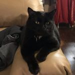 Lori Owings - @loriowings63 - Instagram