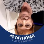 Lori Packer - @lorishaw4365 - Instagram