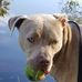 Laurie Paczkowski - Facebook