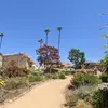 Lorie Palacios - @lorie.palacios - TikTok