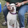 Lori Pangborn - @msbud27 - TikTok