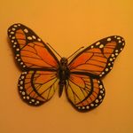 Lori Pardo Cole - @imgma11 - Instagram