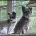 Lorri Parry - Facebook