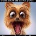 Lori Passmore - Facebook
