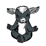 Lori Patrick - @gabbysgoatfarm - Instagram