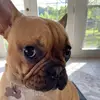 loripatrick43569 - @loripatrick43569 - TikTok