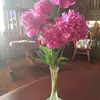 loripatrick632 - @loripatrick632 - TikTok