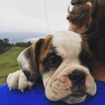 Jean Pierre Loria - @pepeloria - Instagram