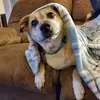 Lori Barborek Perreg - @loriperrego - TikTok