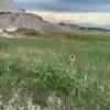 Lori - @piper8110 - TikTok