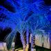 Lori Plummer - Facebook