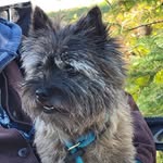 Lori Pollack - @misterslori - Instagram