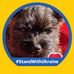Lori Pollack - Facebook