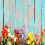 Lori Pollock Nelson - @nelsonloripollock - Instagram