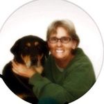 Lori Pomroy St. Angelo - @loripomroyst.a - Instagram