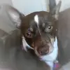 loripost - @loripost - TikTok