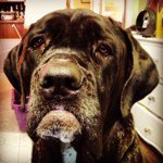 Lori Potts - @lorip365 - Instagram