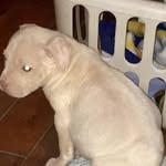 Lori Pritt - @mommapritt - Instagram
