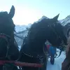 Lori Sannachan Proko - @lorisannachanprokop - TikTok