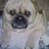 Lori Prosser - @lori.prosser - TikTok