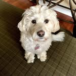 Lori Prosser Plough - @lori_plough - Instagram