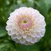 Lori Raber - Facebook