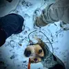 Lori Carpenter Radcliff - @loricarp77 - TikTok