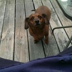 loriragland - @loriragland2 - Instagram