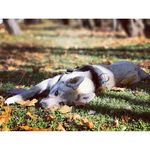Lori Ralston - @loriralston8 - Instagram