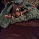 Lori Ramsden - @lori.ramsden.7 - Instagram