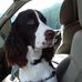 Lori Randall - Facebook