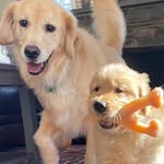 Lori Randall - @loriandgirls - Instagram