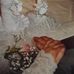 Lori Darder-Raub - Facebook