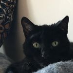 Lori Rauchfleisch - @lorirauchfleisch - Instagram