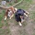 Lori Rea - Facebook