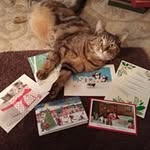 Lori TaterbugPea Reader - @lori.reader - Instagram