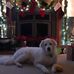 Lori Reeder - Facebook