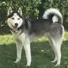 Lori Reedy - @lori.reedy - TikTok