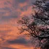 Lorial - @lorial.spamm - TikTok