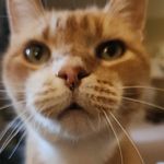 Lori Nuss Richey - @lori_richey1 - Instagram