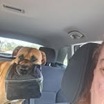 Lori Rickard - @loririckard444 - Instagram